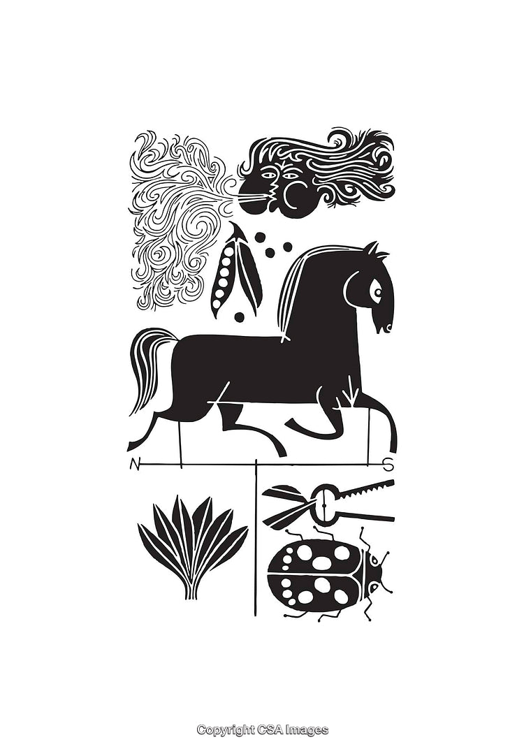 Intricate Black and White Line Art with Horse and Nature Motifs