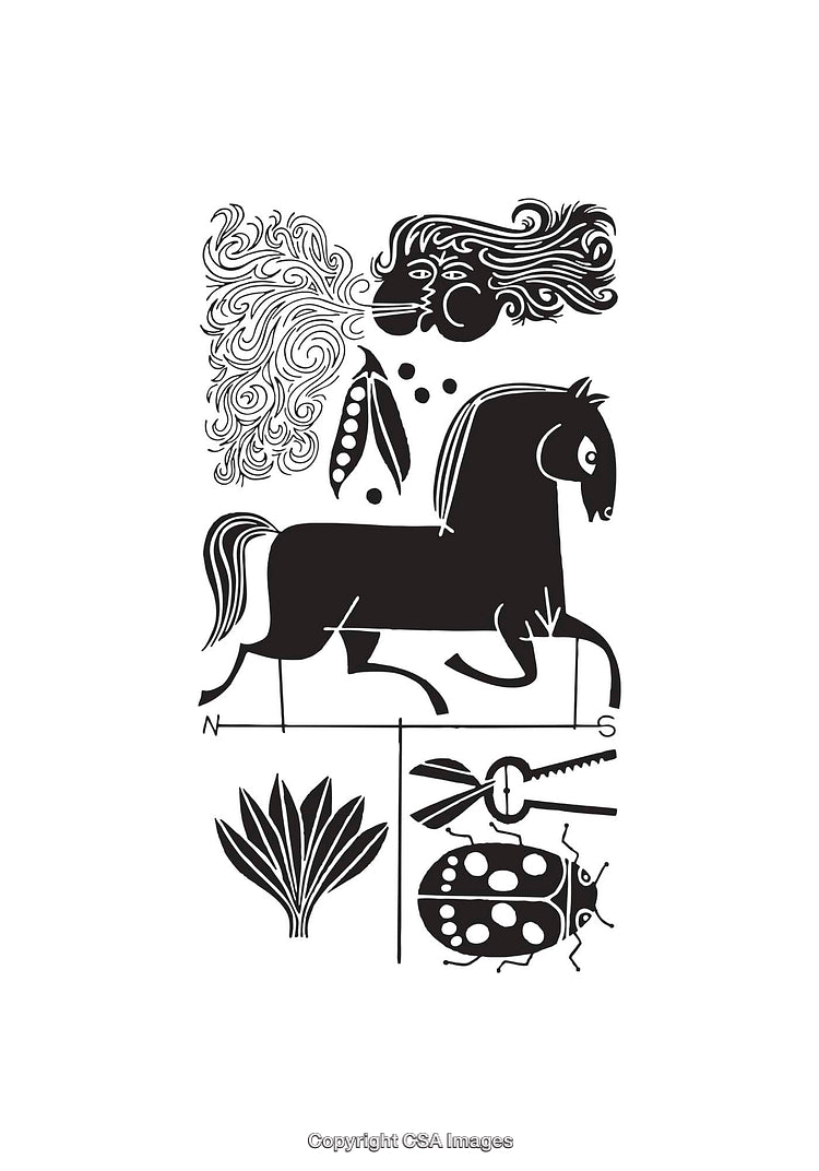 Intricate Black and White Line Art with Horse and Nature Motifs