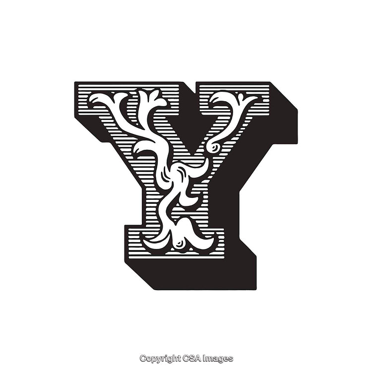 Intricate Decorative Letter Y Design with Floral and Ornamental Elements