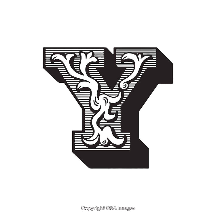 Intricate Decorative Letter Y Design with Floral and Ornamental Elements