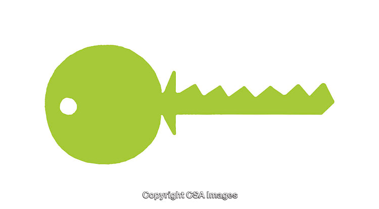 Minimalistic Green Key Icon Isolated on a White Background