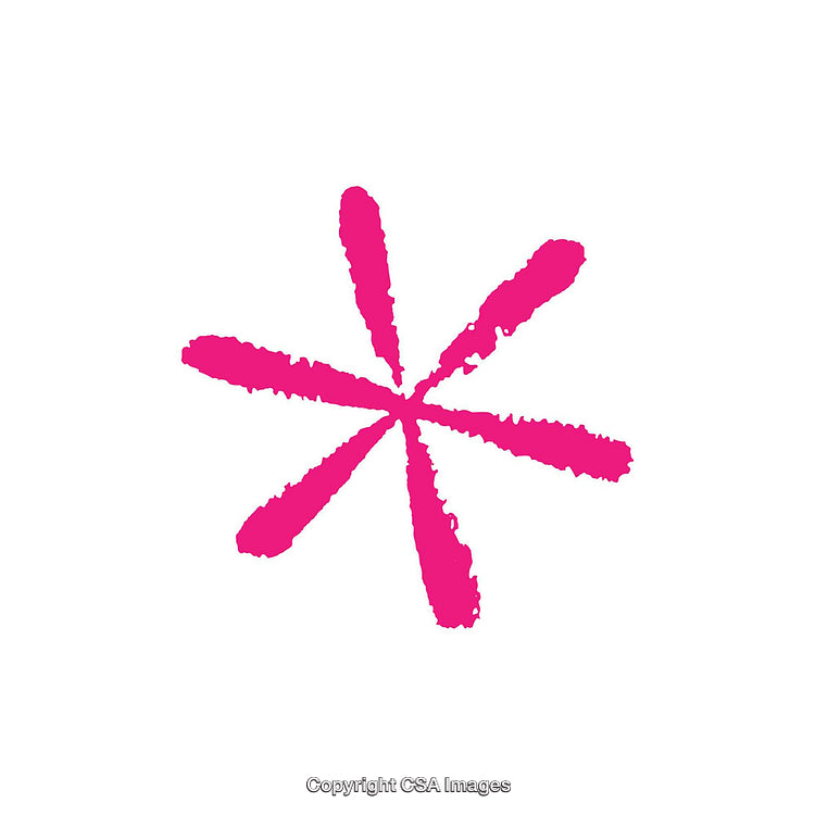 Pink Abstract Asterisk Shape on a White Background