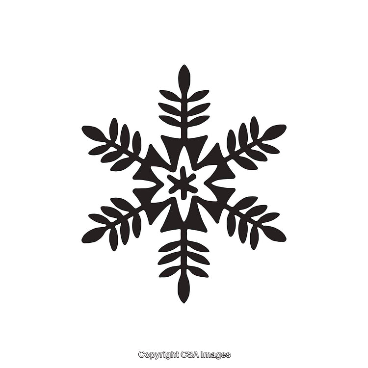Black and White Decorative Snowflake Dingbat Design on White