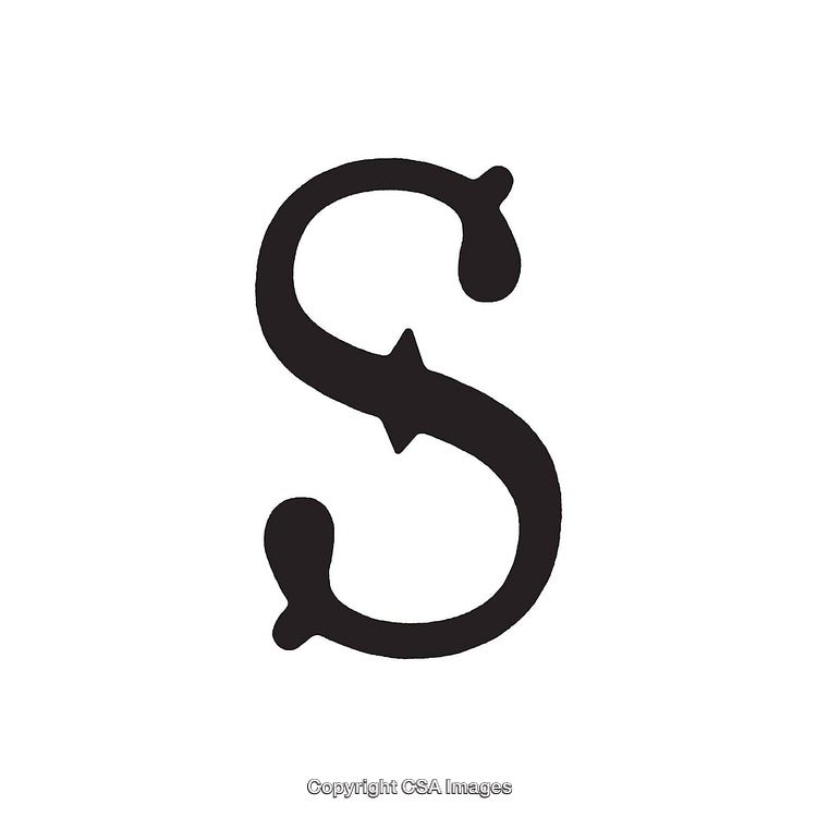Stylized Black Letter S on a Minimal White Background