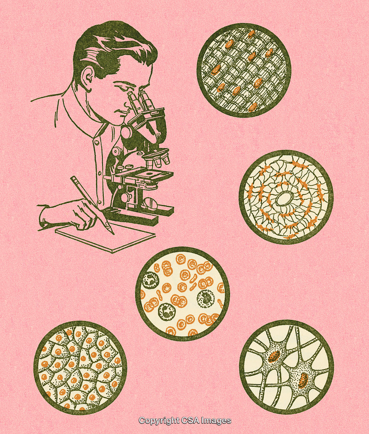 Scientist Observing Through Microscope With Illustrative Cellular Imagery on Pink Background