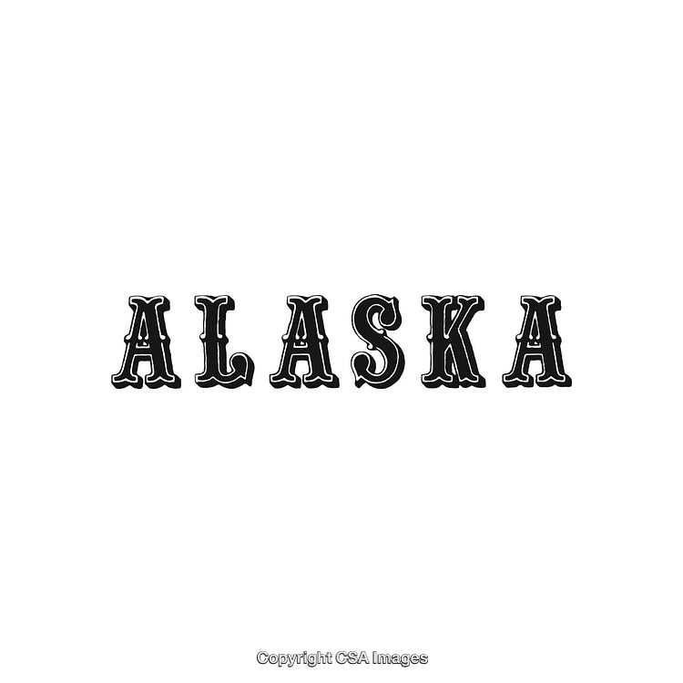 Stylized Text Depiction of Alaska with Retro Typography Design
