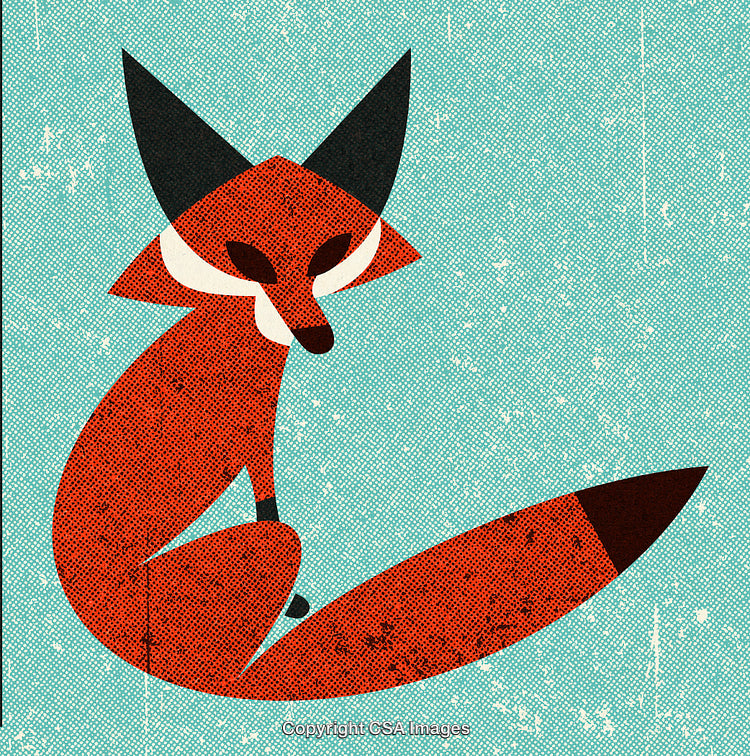 Stylized Artistic Illustration of a Fox in Vintage Texture Design