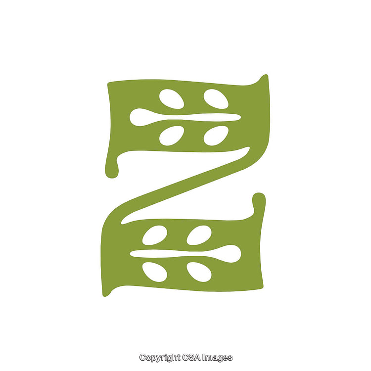 Green Letter Z with Decorative Leaf Motif Design on White Background