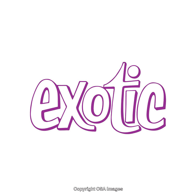 Purple Stylish Graphic Text Spelling Out 'Exotic' on White Background