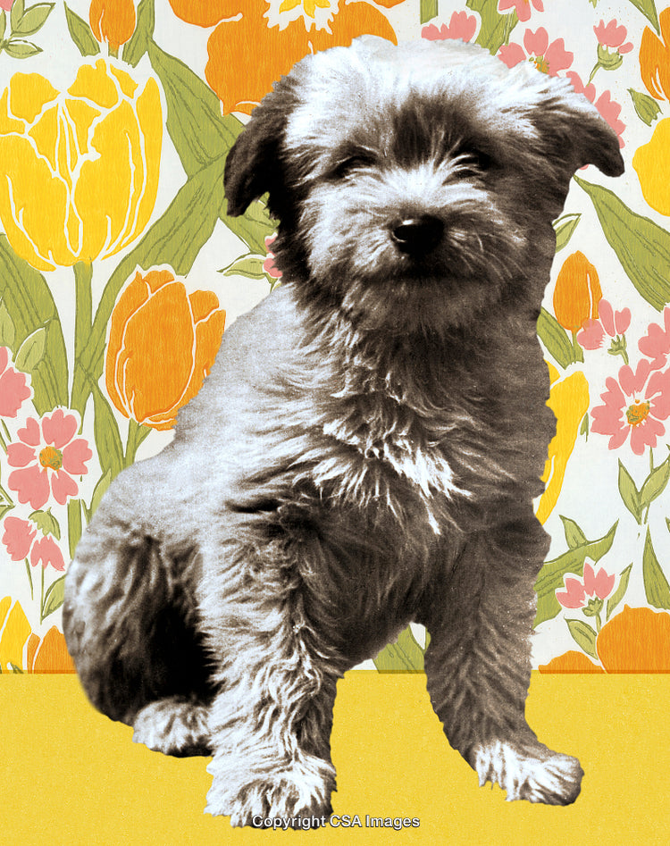 Vintage-Style Portrait of Adorable Shaggy Puppy with Floral Background