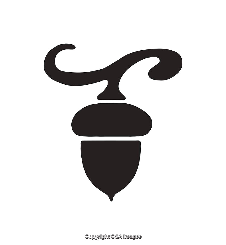 Black and White Abstract Acorn Silhouette Illustration with Curved Details