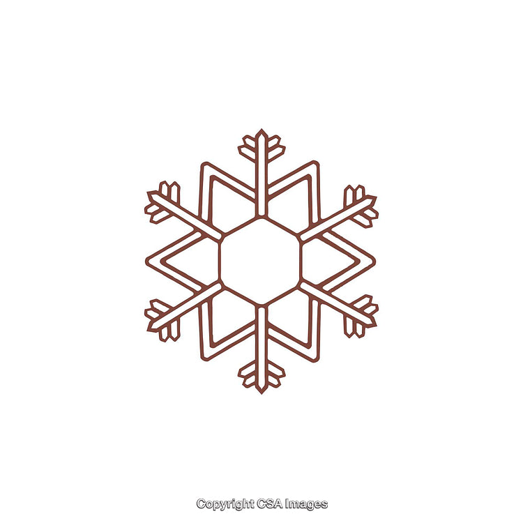 Stylized Snowflake Dingbat With Intricate Geometric Design