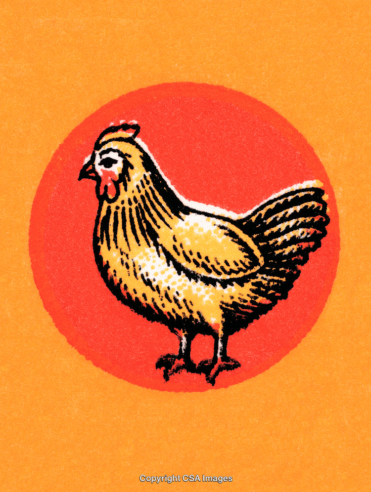 Illustrated Chicken on Bright Circular Red and Orange Background