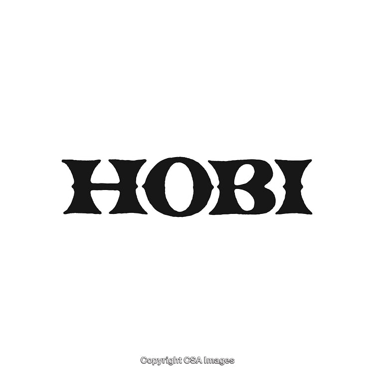 Stylized Black Typographic Logo Design Featuring the Word 'Hobi' on White Background