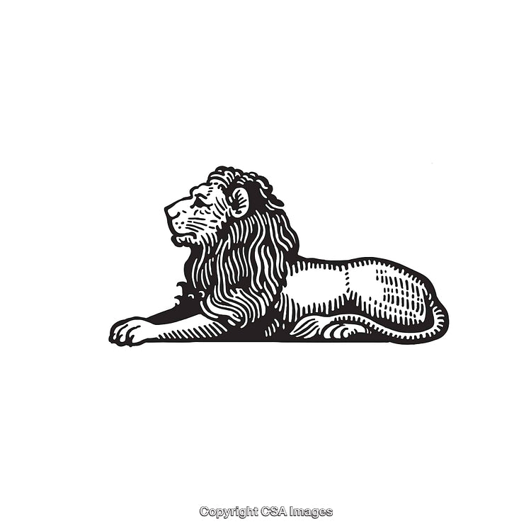 Vintage Black and White Line Art Illustration of a Regal Lion
