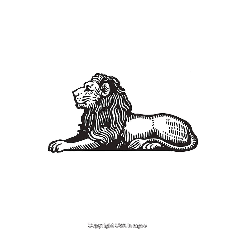 Vintage Black and White Line Art Illustration of a Regal Lion