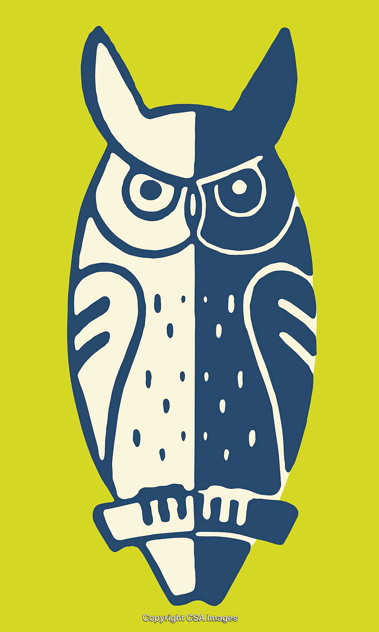 Stylized Owl Illustration with Bold Colors and Abstract Design Elements