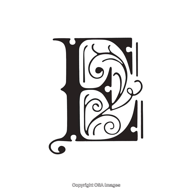 Elegant Decorative Letter E with Intricate Flourishes and Scrolls