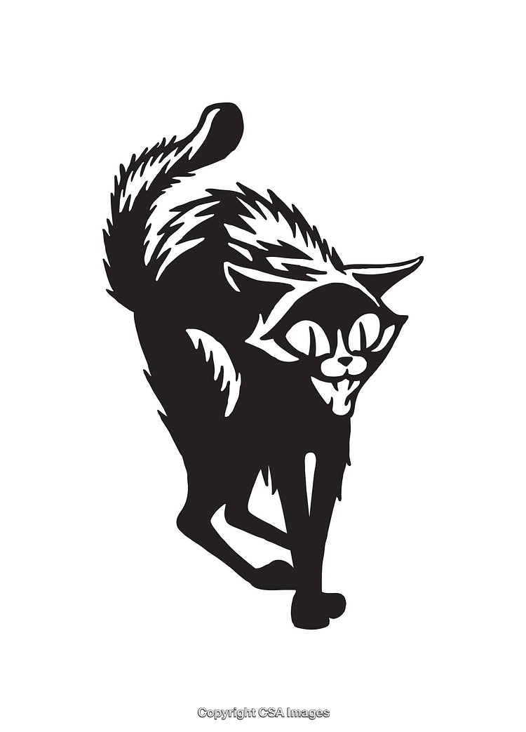 Black and White Line Art of a Fierce Arched Cat Silhouette