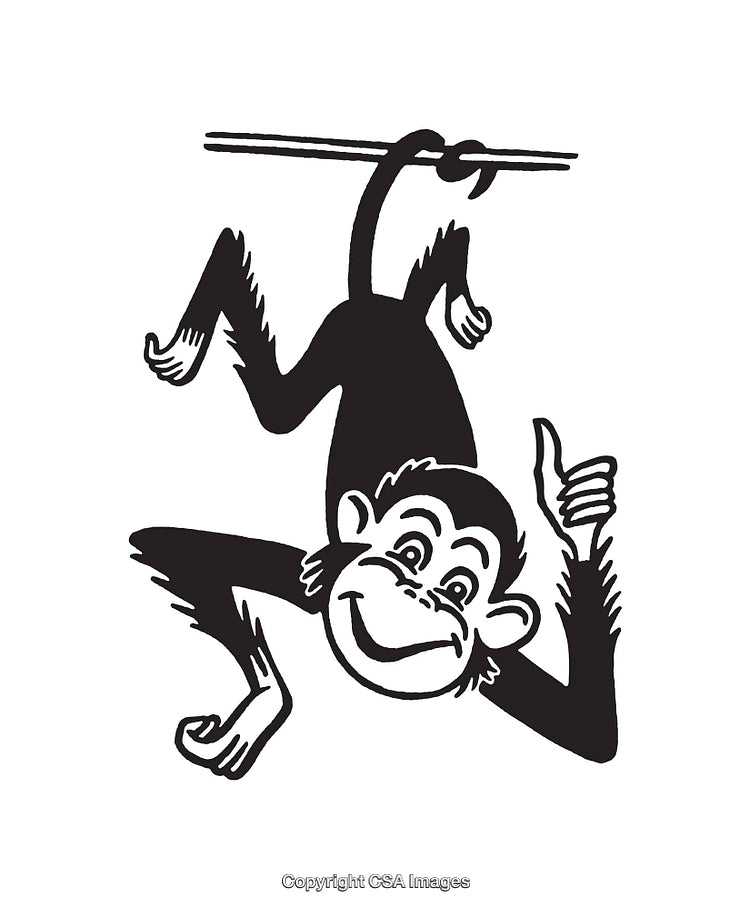 Cheerful Monkey Giving Thumbs Up Hanging Playfully From a Branch