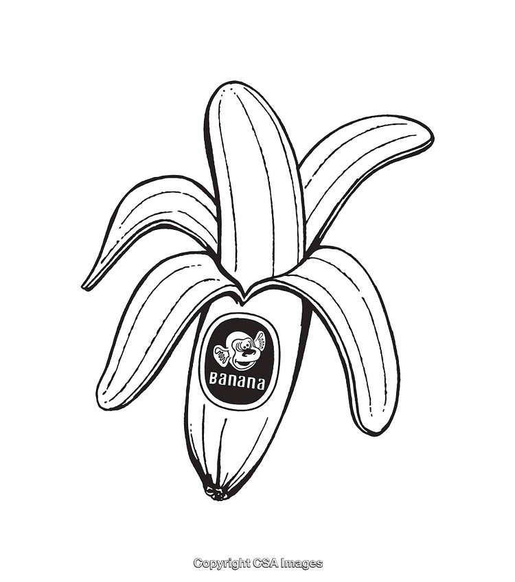 Black and White Line Art Illustration of an Opened Banana