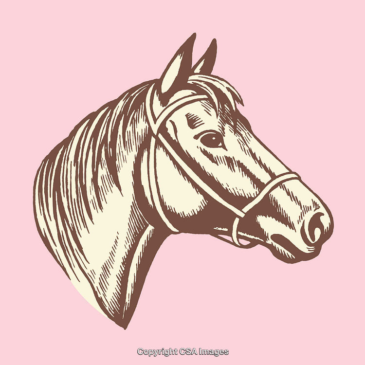 Vintage Style Horse Head Colored Illustration with Detailed Line Art