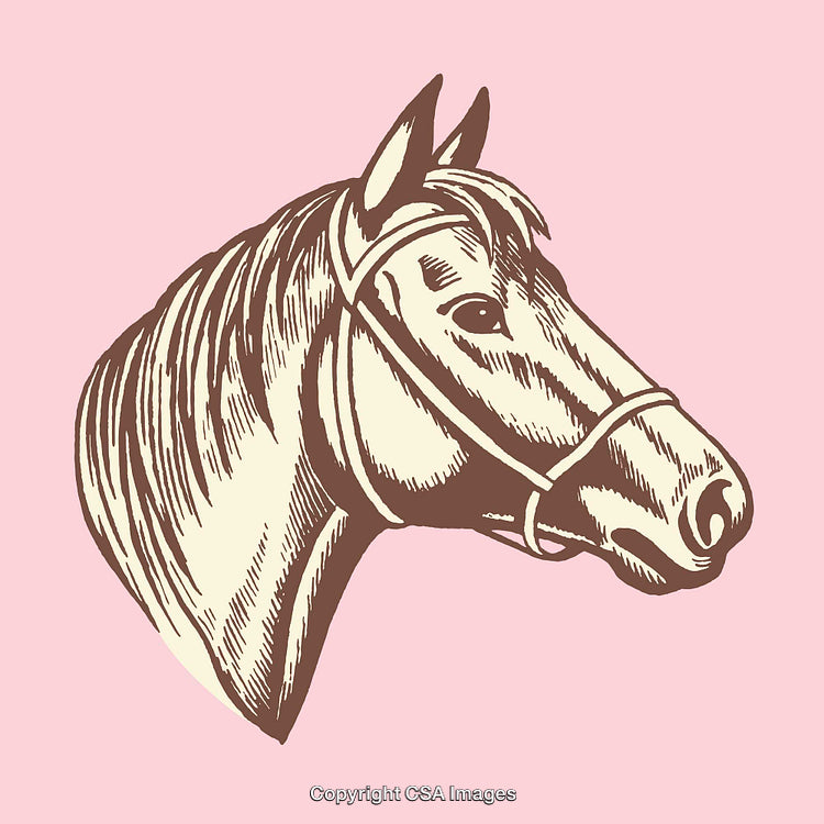 Vintage Style Horse Head Colored Illustration with Detailed Line Art