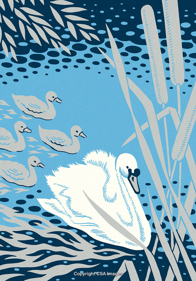 Illustration of a Swan With Ducklings in a Serene Lake Setting