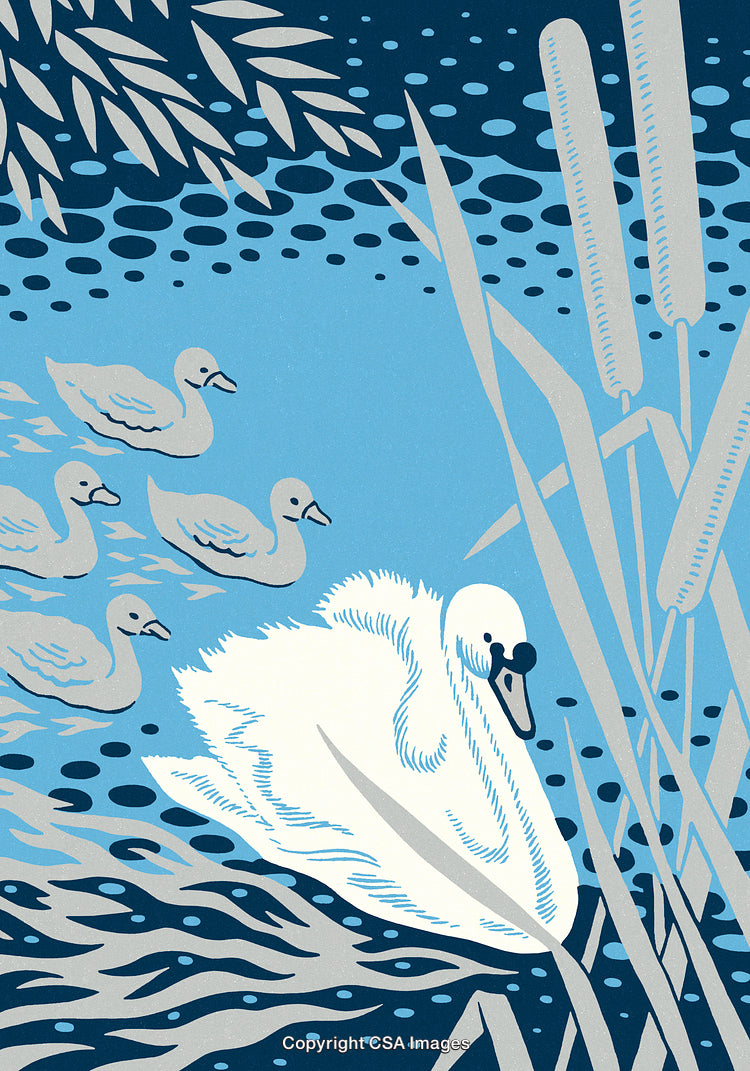 Illustration of a Swan With Ducklings in a Serene Lake Setting