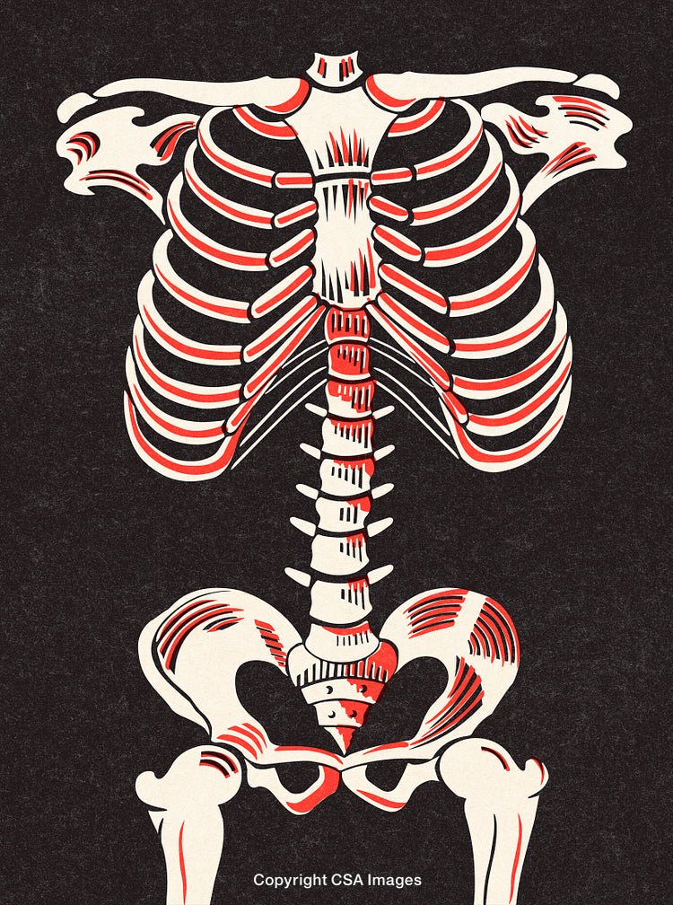 Artistic Illustration of a Human Skeleton with Red Accents on Dark Background