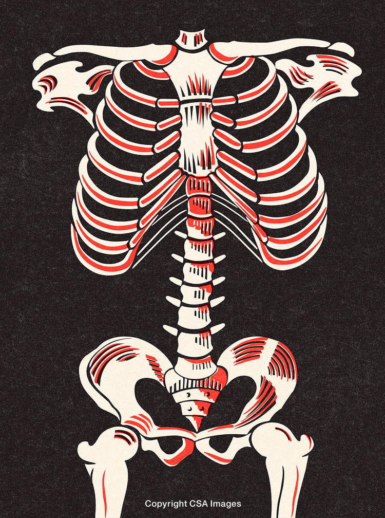 Artistic Illustration of a Human Skeleton with Red Accents on Dark Background
