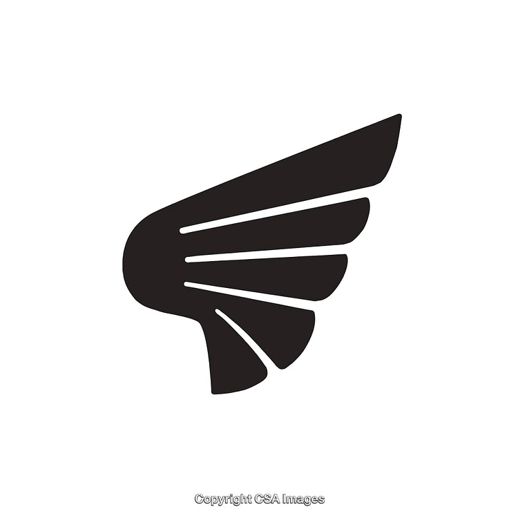 Black and White Stylized Wing Vector Illustration for Graphic Design