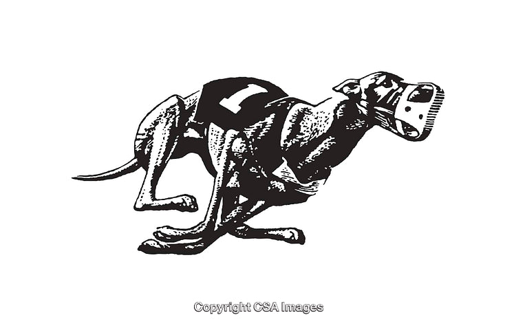 Black and White Line Art of a Racing Greyhound in Motion