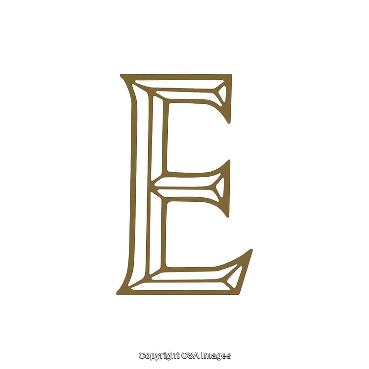 Elegant Decorative Letter E in Ornamental Font Style on White Background