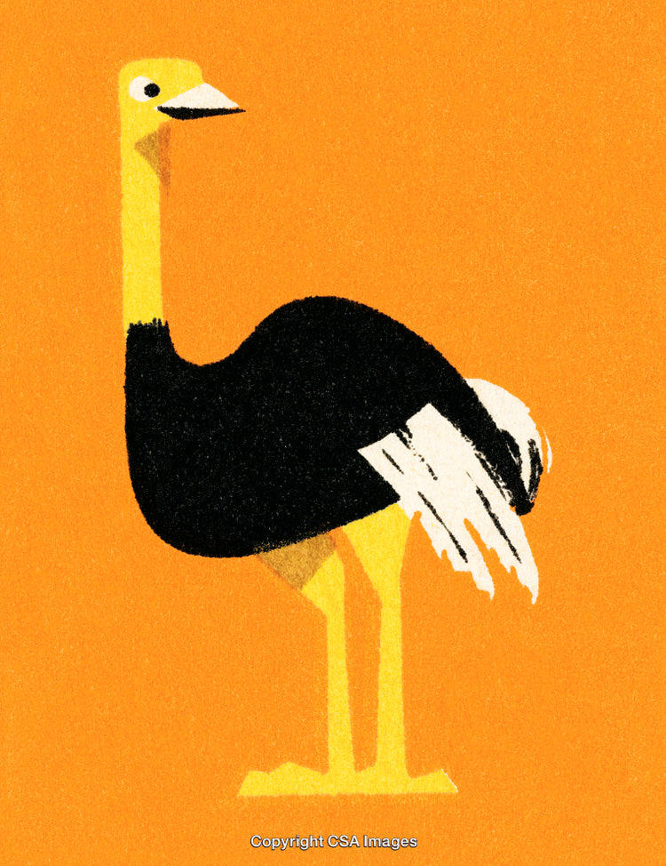 Abstract Illustration of a Standing Ostrich on an Orange Background