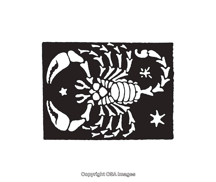 Black and White Line Art Illustration of a Scorpion Design