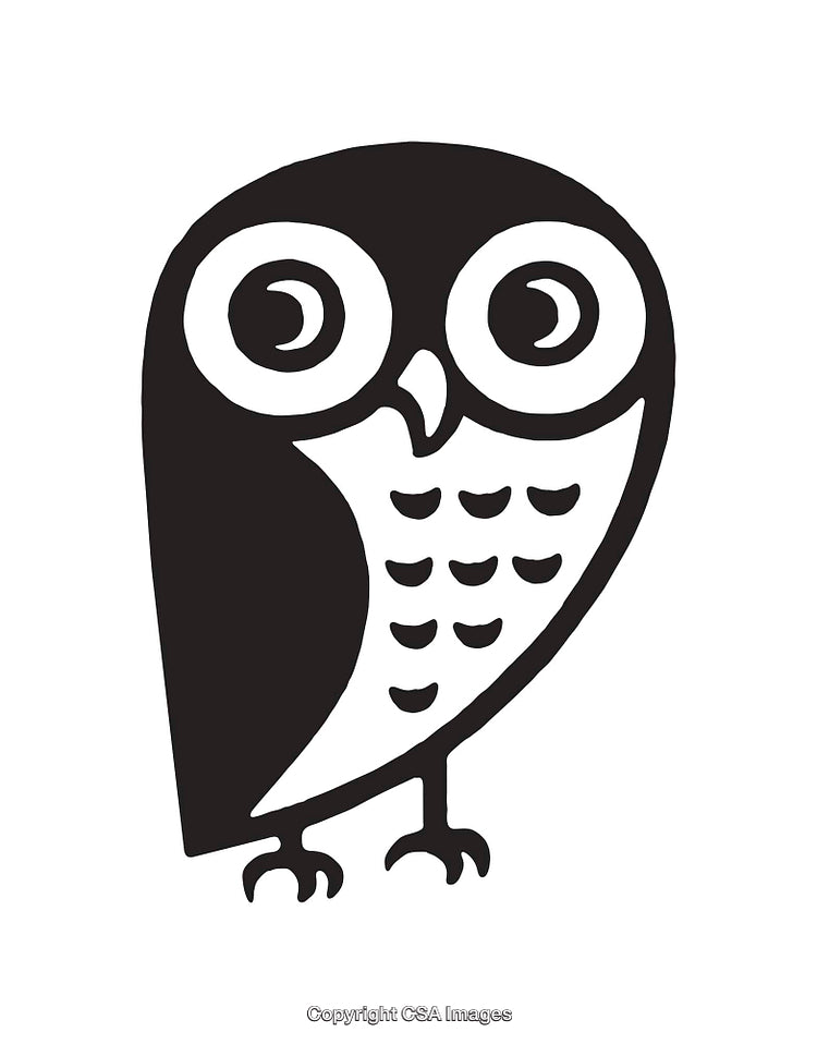 Black and White Line Art Illustration of a Stylized Owl