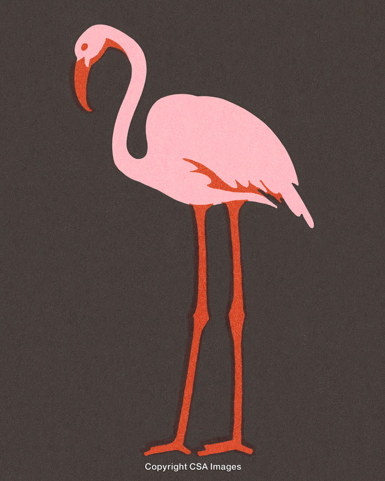 Pink Flamingo Illustration with Dark Background in a Minimalist Art Style