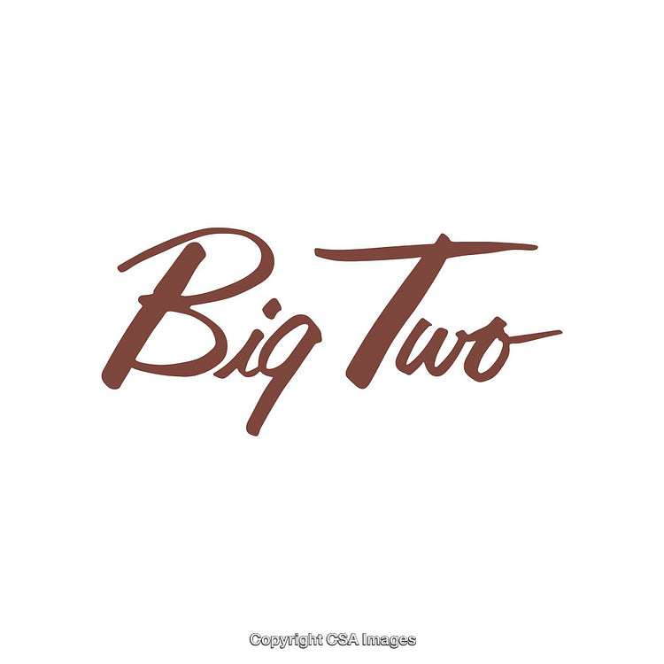 Stylish Brown Handwritten Typography Art on Clean White Background