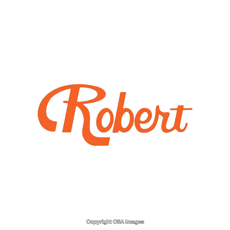 Orange Text Featuring Stylized Typography Displaying the Name Robert