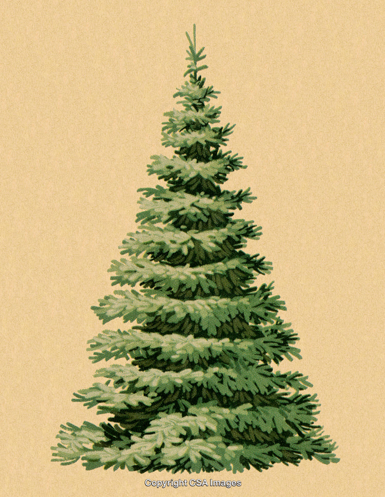 Stylized Illustration of a Green Christmas Tree with Beige Background