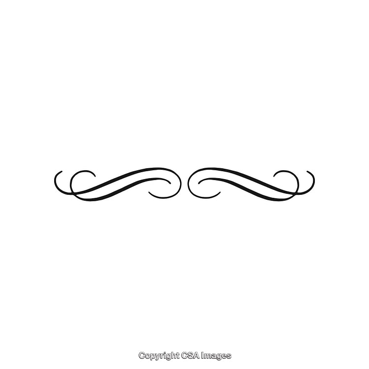 Elegant Black and White Decorative Flourish Design Element