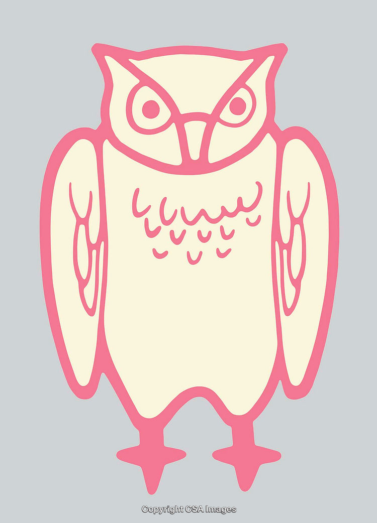 Colorful Line Art Illustration of an Owl in Abstract Style