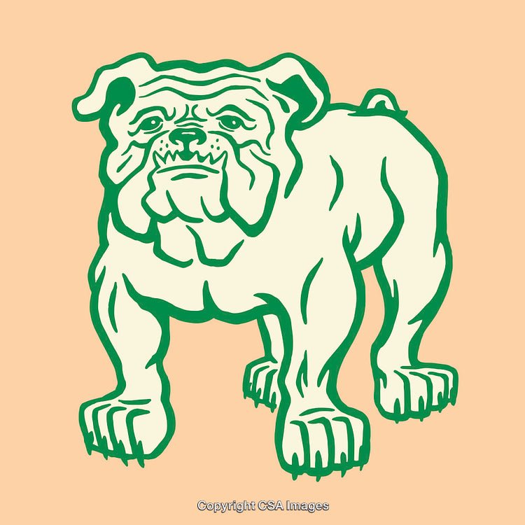 Green Outline Illustration of Bulldog on Peach Background in Bold Line Art Style