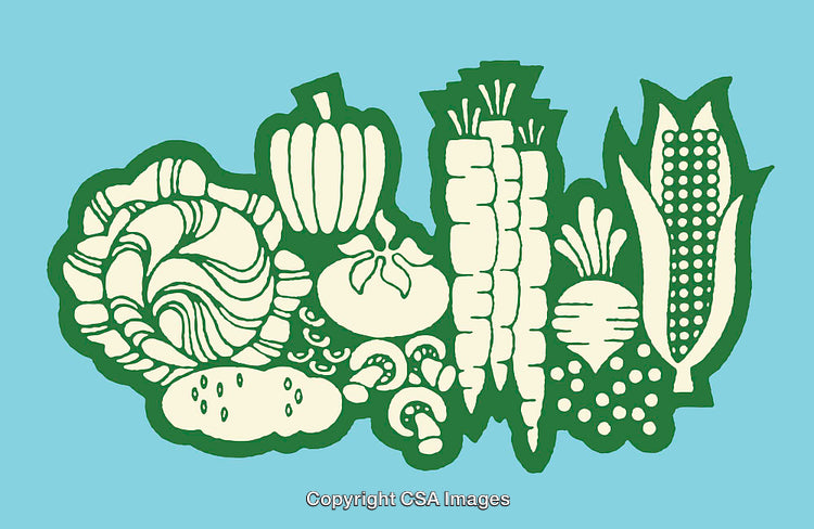 Colorful Graphic Illustration of Fresh Vegetables on Blue Background