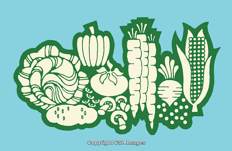 Colorful Graphic Illustration of Fresh Vegetables on Blue Background