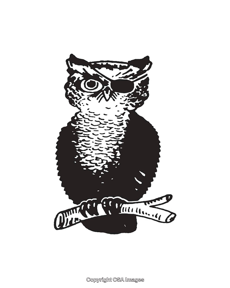 Black and White Owl Illustration Wearing Eye Patch Holding Wings Crossed