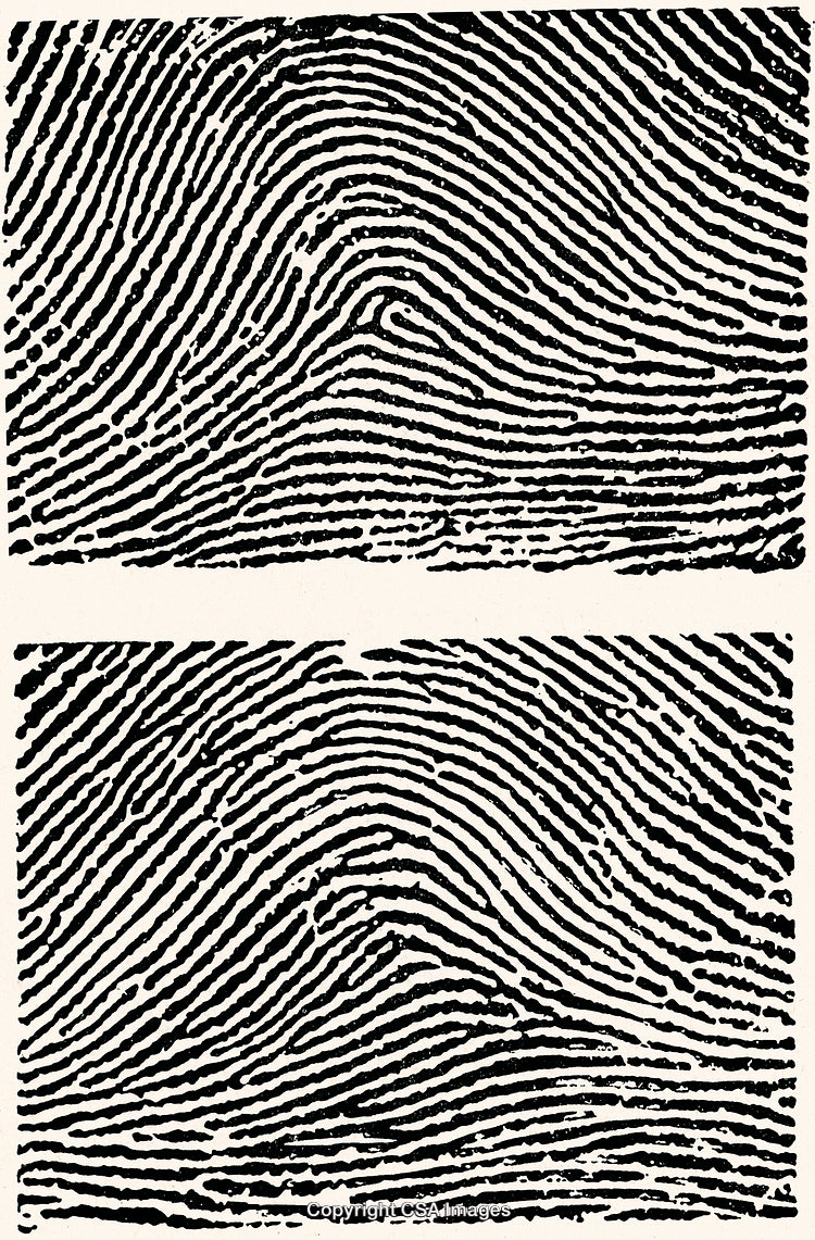 Detailed Black and White Fingerprint Art in Close-Up View