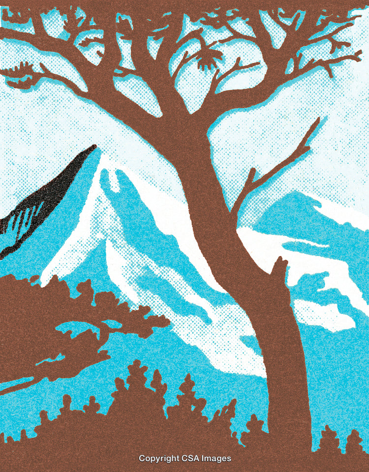Simplistic Mountain Landscape With Silhouetted Tree and Shaded Peaks