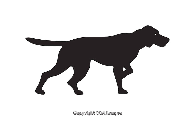 Silhouette Illustration of a Hunting Dog in Black and White